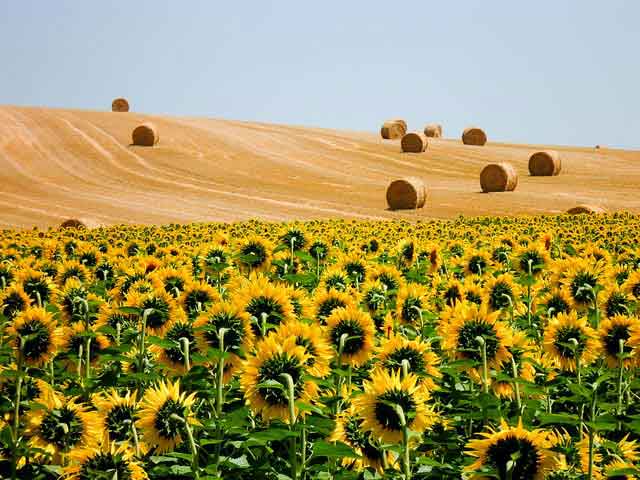 Dordogne, Aquitaine, France