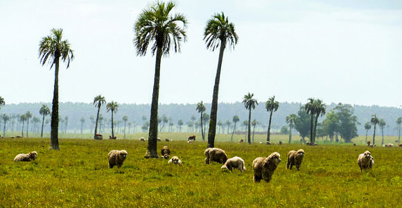 Best Places to Farm in the World