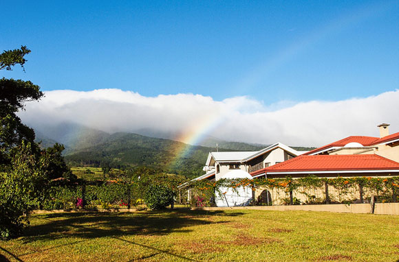 It’s Easy to Stay Healthy in Grecia, Costa Rica