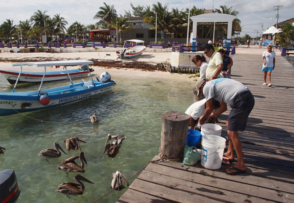 Puerto-Morelos-Mexico-Slideshow-3