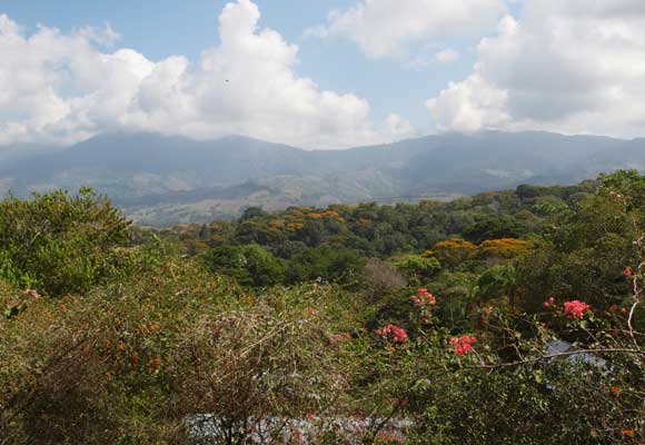 Slide-6-Southern-Zone-mountain-view