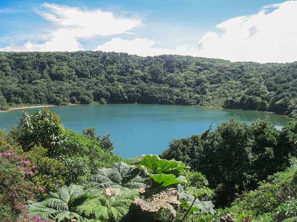 Appreciating the Beauty in Our Back Yard in Costa Rica