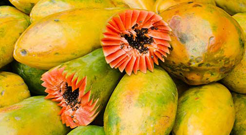 Panama Food: Panama’s Tropical Treats