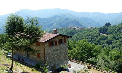 In Pictures: Our Italian Farmhouse Renovation Project