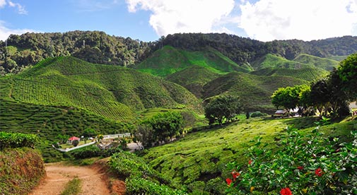 The Hill Stations of Malaysia