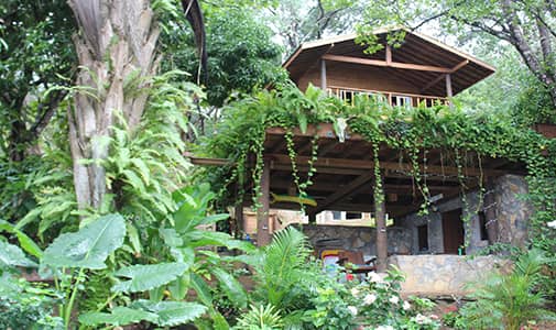 Building an Off-the-Grid Dream Home in Roatan