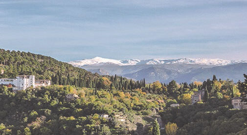 Heart Surgery in Rural Spain