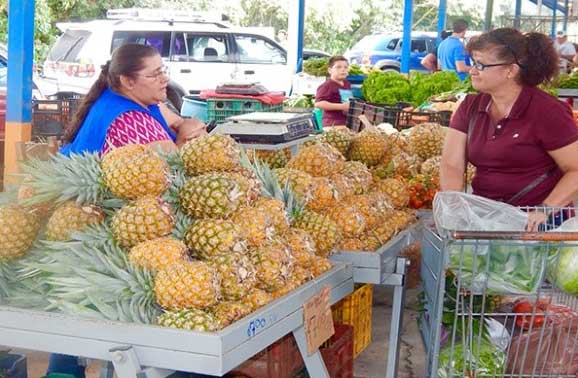 The Feria—A Surprise for You in Costa Rica