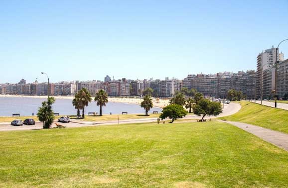 Starting a Family and a Business in Montevideo, Uruguay