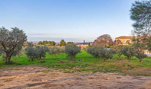 A California Couple’s Escape in Saint-Remy-de-Provence