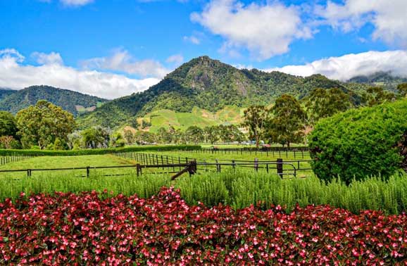 Day Tripping to Cerro Punta From Boquete, Panama