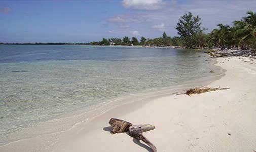 Utila: Off-Grid Living in the Unspoiled Caribbean