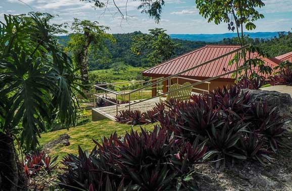 Finding Community, Home…and a Dog…in Belize