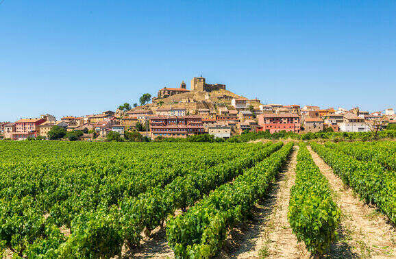 The War of Wine in the Hills of Northern Spain